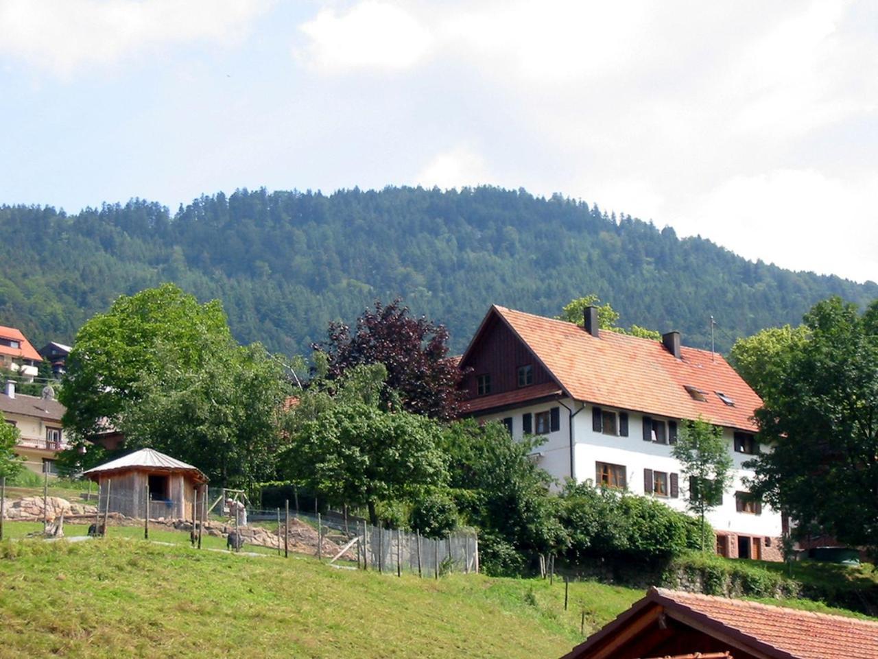 Schnurrenhof Apartment Seebach Exterior photo
